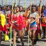 Zulu reed dance