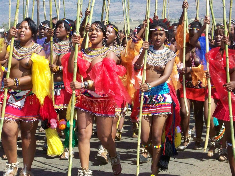 Zulu reed dance