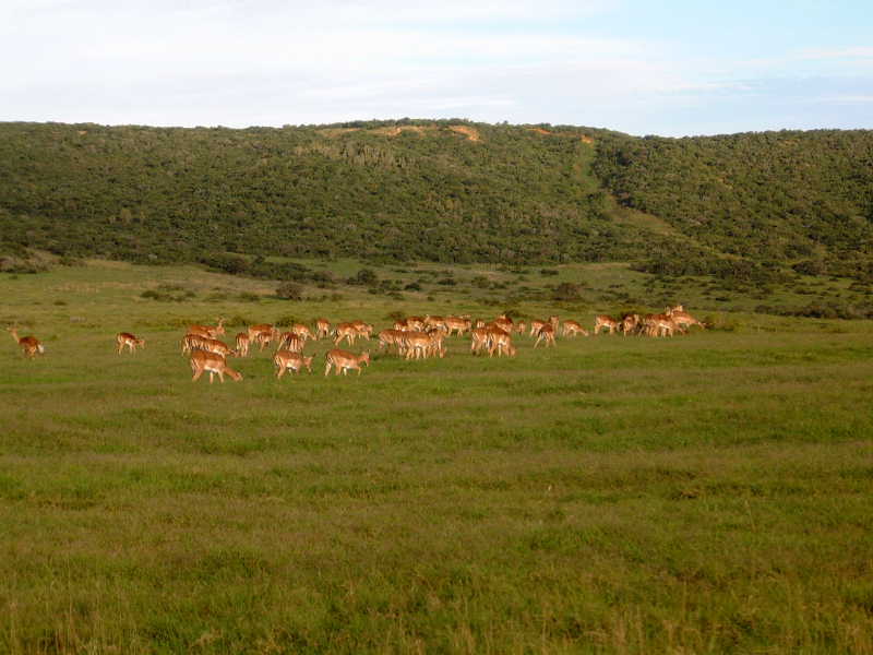 Game reserve